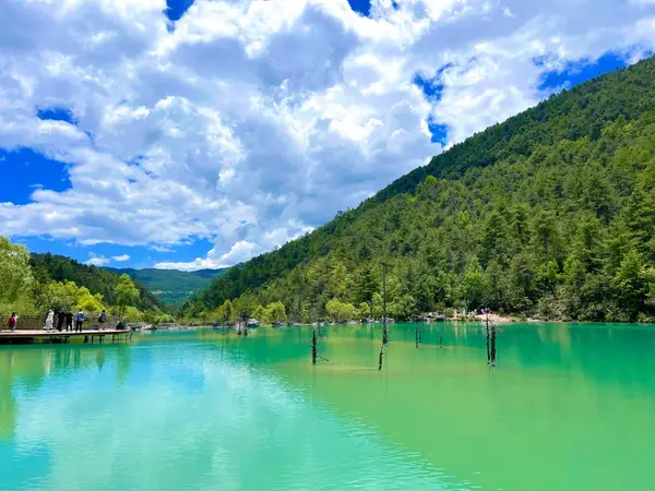 风景